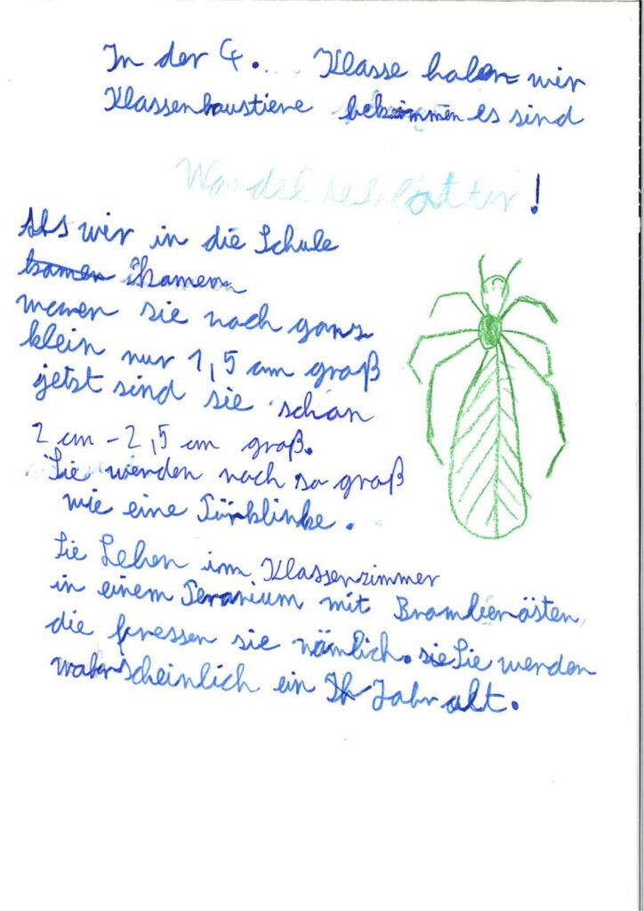 Klassenhaustier 4a