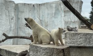 Klassenausflug Karlsruher Zoo